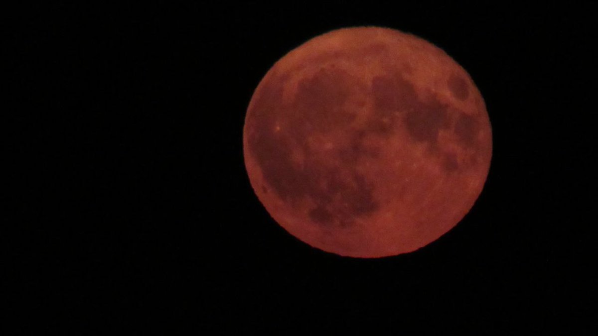 Telegram Group Smartphone Astrophotography tweet media