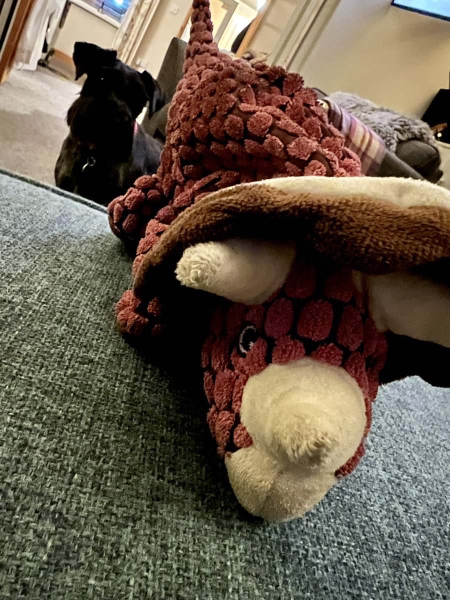 Tina_Anobile's tweet image. Best dog toy ever. #Kong #Dynos