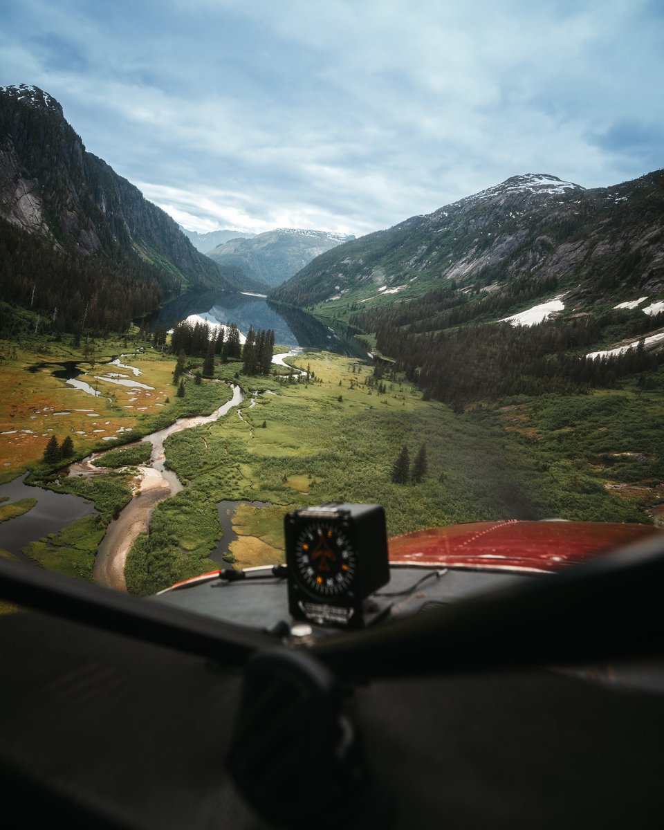 Andrew Wille tweet media