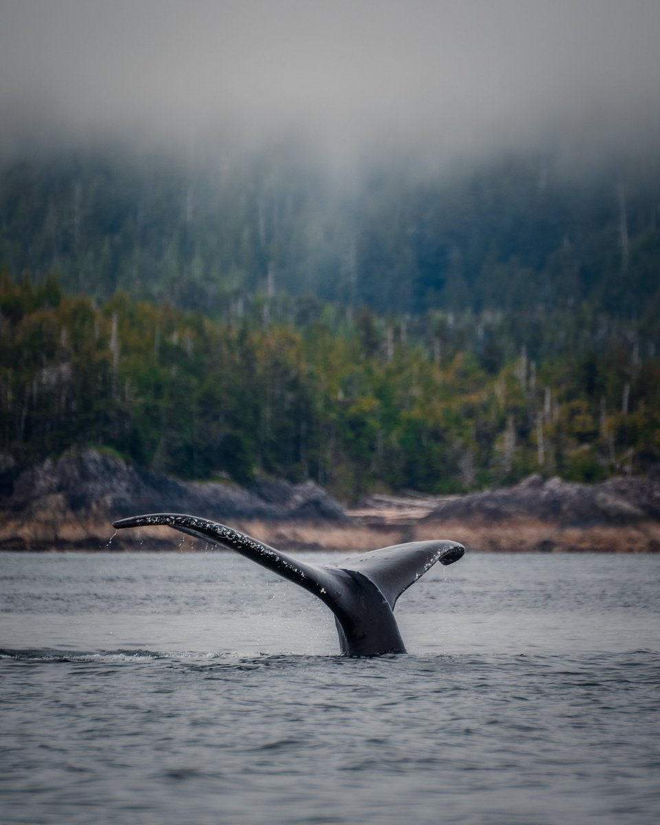 A few images from last week in Alaska