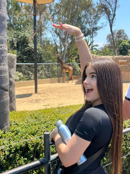 jirafitawww https://t.co/0J7yUKhbMP