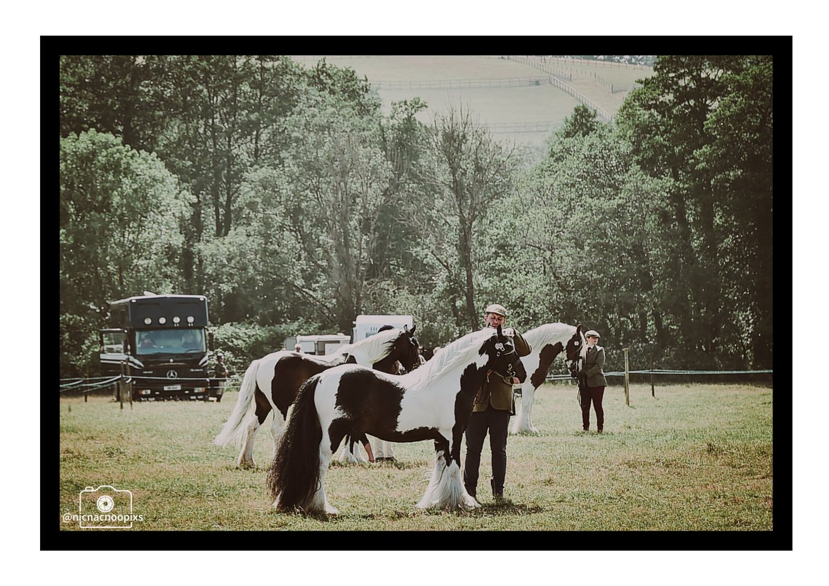 nicnacnoopixs's tweet photo. Machen Agricultural Show 2023
#machenagriculturalshow #machenagriculturalshow2023 #machenshow #horselover #horsesofinstagram #horseshow #horseshow https://t.co/Y0okdcBPmH