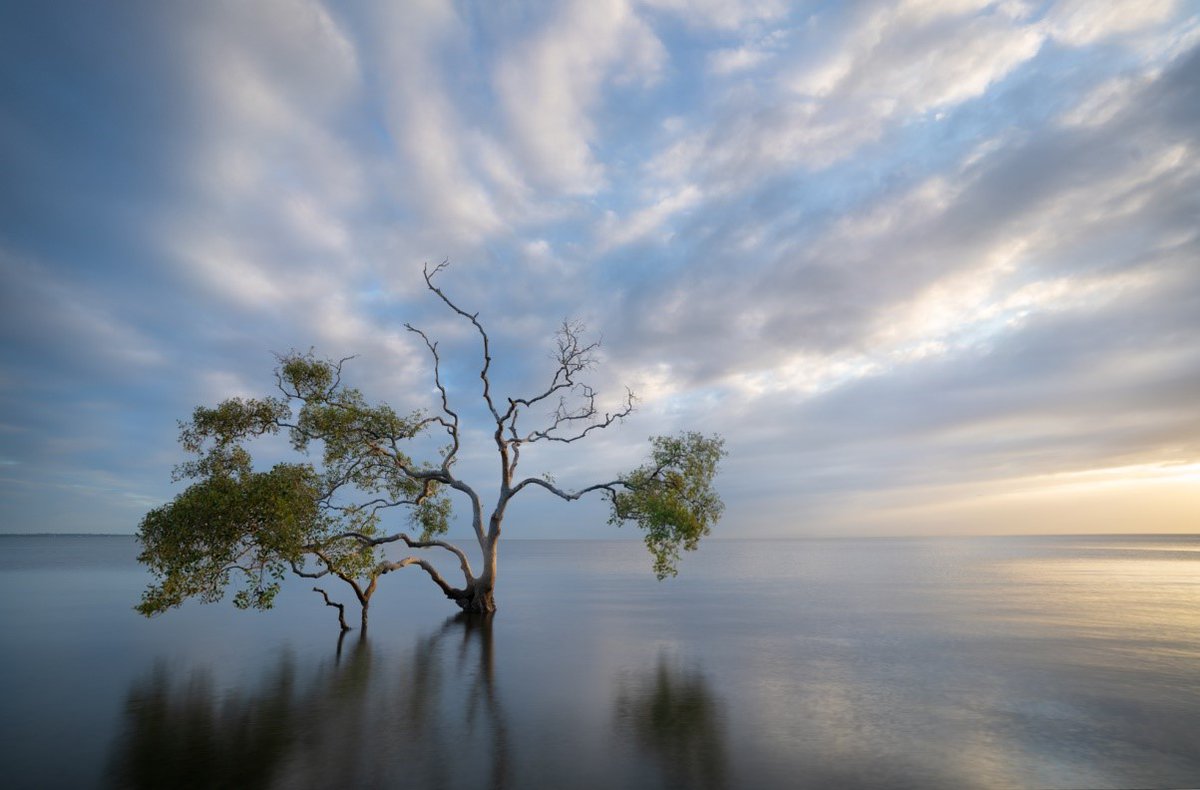 oceansharmony's tweet photo. When we say wetlands, what is the first thing that comes to mind? The word itself is pretty vague. Unless you’ve seen a photo or visited one in real life, chances are you may not know what a wetland looks like or just how important for the environment it can be.
https://t.co/9wjl8BlulT
Please Donate and help us save the planet.