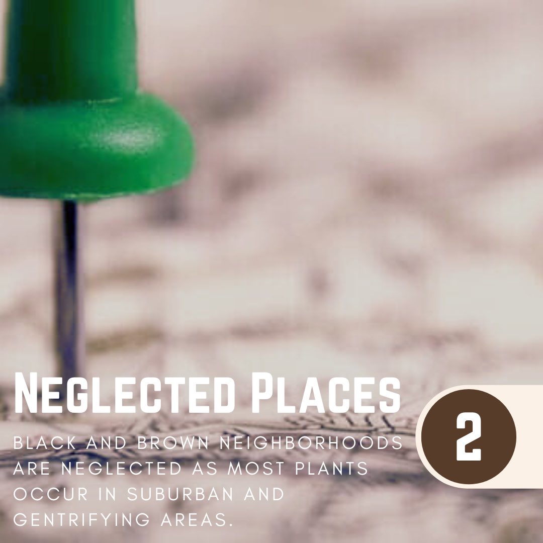 The Crete Collective tweet media