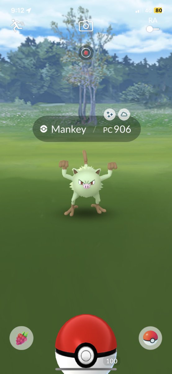 Cruz270391's tweet image. Para empezar el día de hoy me salió un #Mankey #Shiny en #PokemonGo y yo creía que sería hasta el sábado que me saliera uno