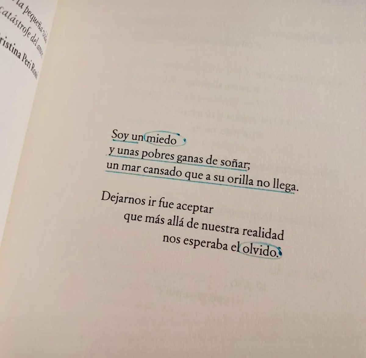 No Me Dejes Ir - En Español Letras Ilustración De Tinta Caligrafía Moderna  Del Pincel Stock de ilustración - Ilustración de tinta, motivador: 169789594, image size:1200x1176