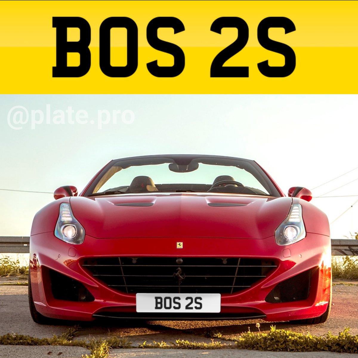 plate_pro tweet picture