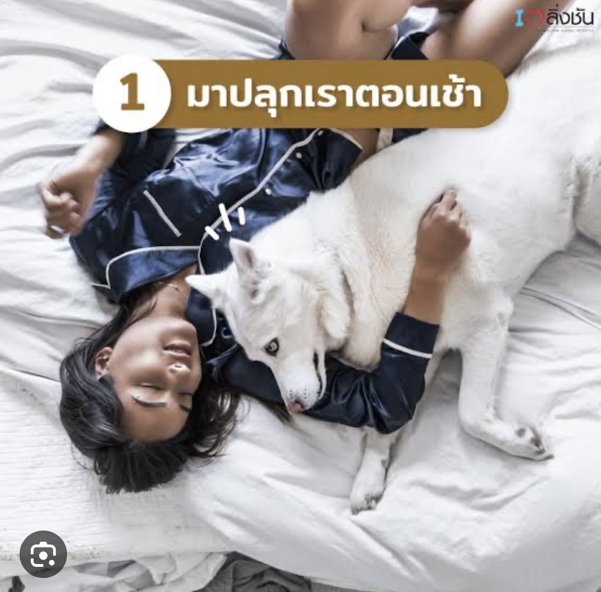mango59537395's tweet photo. ฉันยังคงเป็นยังเดิมคือ คิดถึงยังคิดถึงเธอเหมือนเก่า โลกยังซึมๆเศร้าๆอยู่อย่างเหงาๆ ไม่ค่อยเปลี่ยนเเปลงสักเท่าไร (6เดือนเเล้ว )😭 https://t.co/YdKEgw9PIt