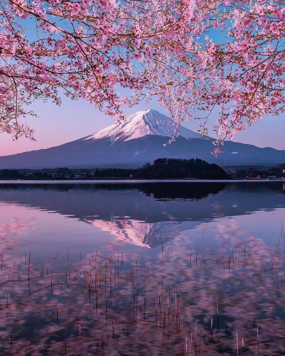 Exulansista's tweet photo. Mount Fuji, Japan. https://t.co/R4vhQGzZMc