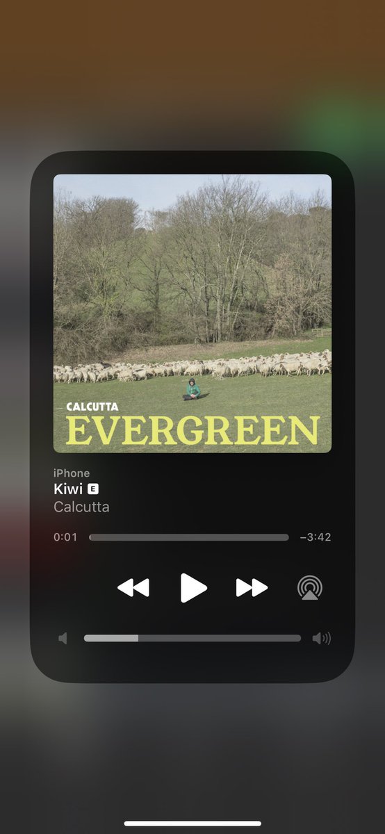 GDL al concerto di Harry Styles