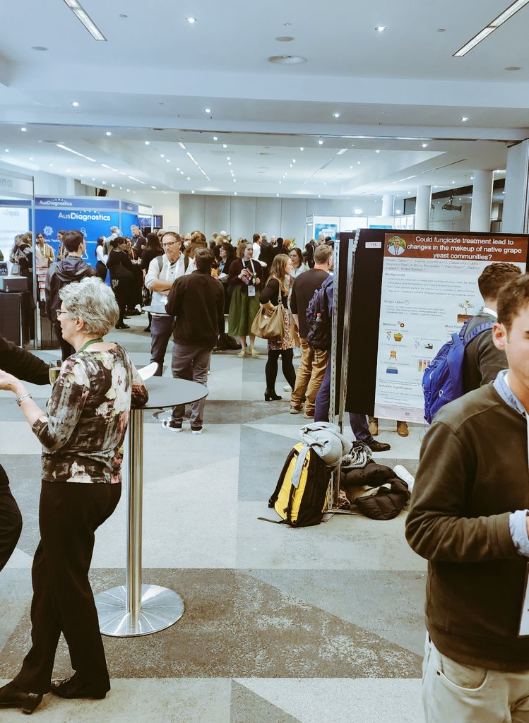 Day 1 of #ASM2023 concludes with a Welcome function and night 1 of posters. Things are heating up as #students and #ECRs are judged for awards from our sponsors @AUSSOCMIC @MicrobioSoc #JMedMicro #MicrobioJ 
Some amazing science on display 
🦠🧫🔬🧪⚗️🧬
