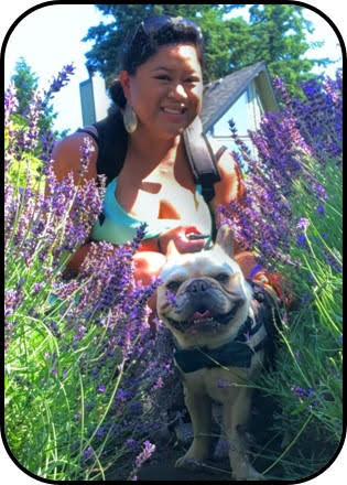 PSU School of Social Work tweet media