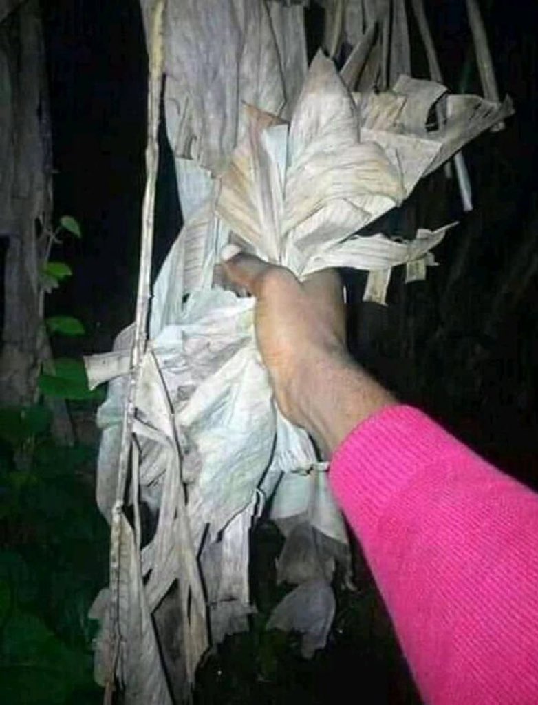 DiceBoy1's tweet photo. If you know you know 😂😂😂 https://t.co/QKvFgZKkWt