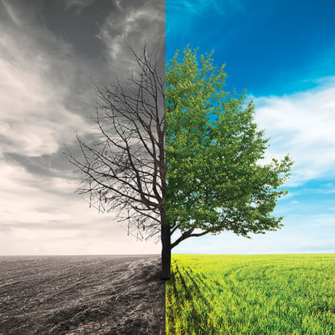 cousy056's tweet photo. Very interesting creative tree, and sometimes people are the same. https://t.co/Hp7v5G8eG5