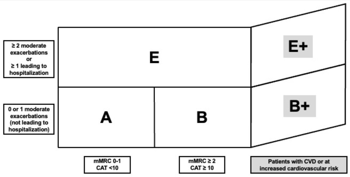 Agregando una cuarta dimensión a la nueva estratificación terapéutica #GOLD2023 de #EPOC (A-B-E):Enfermedad cardiovascular #COPD 
👉 atsjournals.org/doi/10.1164/rc…