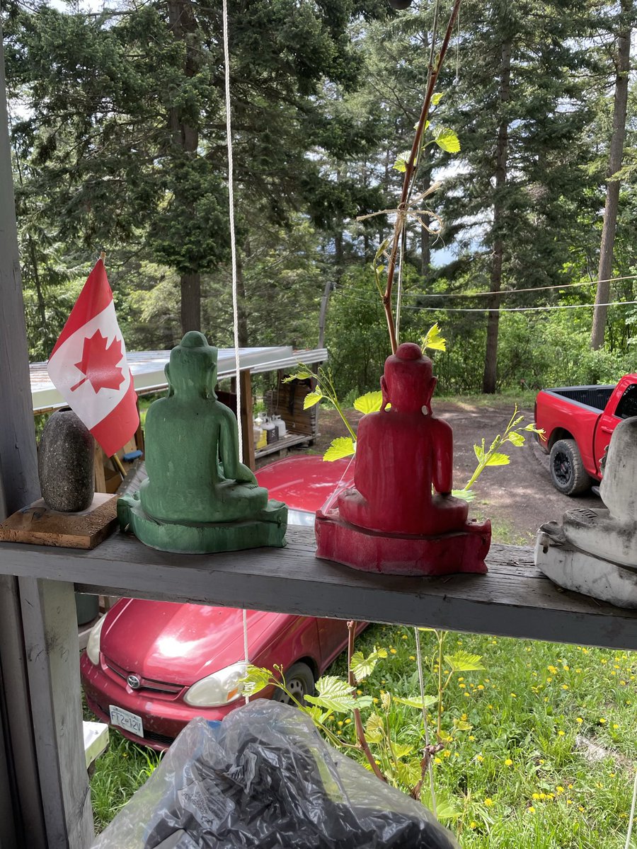 Aurelian Giles tweet media