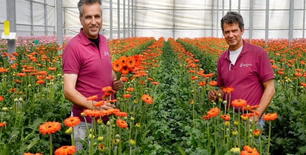 Aardwarmte, een kans voor telers Marcel en Gerben
bpnieuws.nl/article/954251…