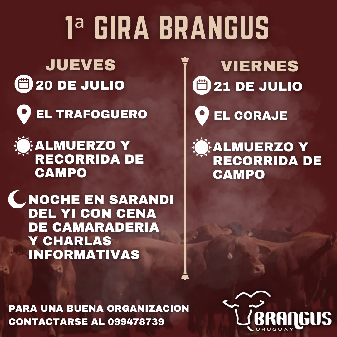S. C. Brangus del UY (@brangusuruguay) on Twitter photo 