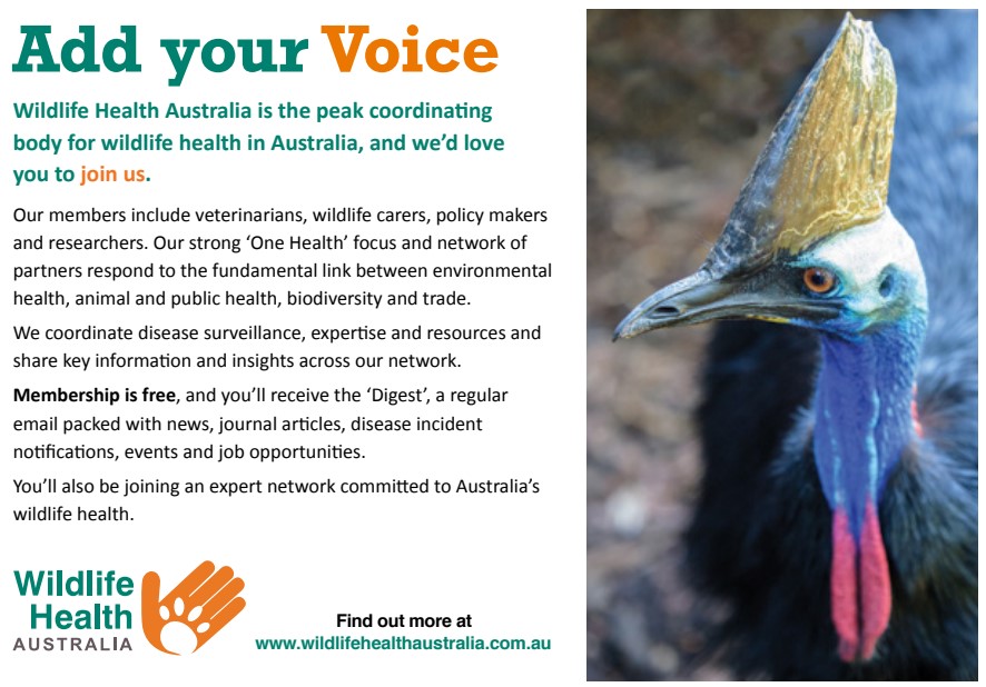 healthywildlife's tweet photo. Looking for a new-financial-year resolution? Why not join up as a member of Wildlife Health Australia! More info on our website: https://t.co/VZPHrCNRvH https://t.co/vUUJkpHqBu