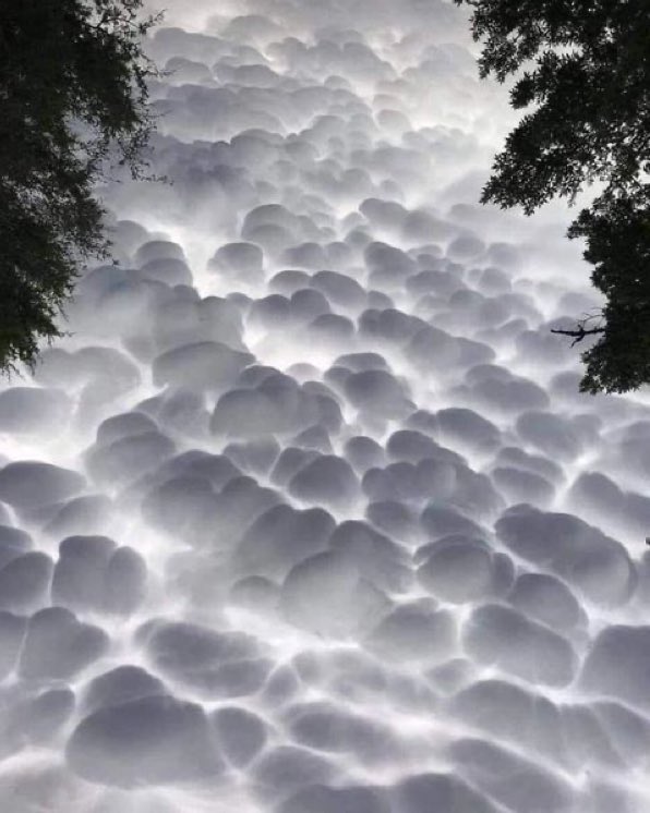 ARTA (@serexcentrico) on Twitter photo 