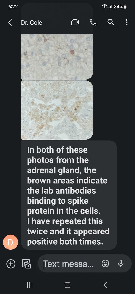 Answers4Sean 🇨🇦 tweet media