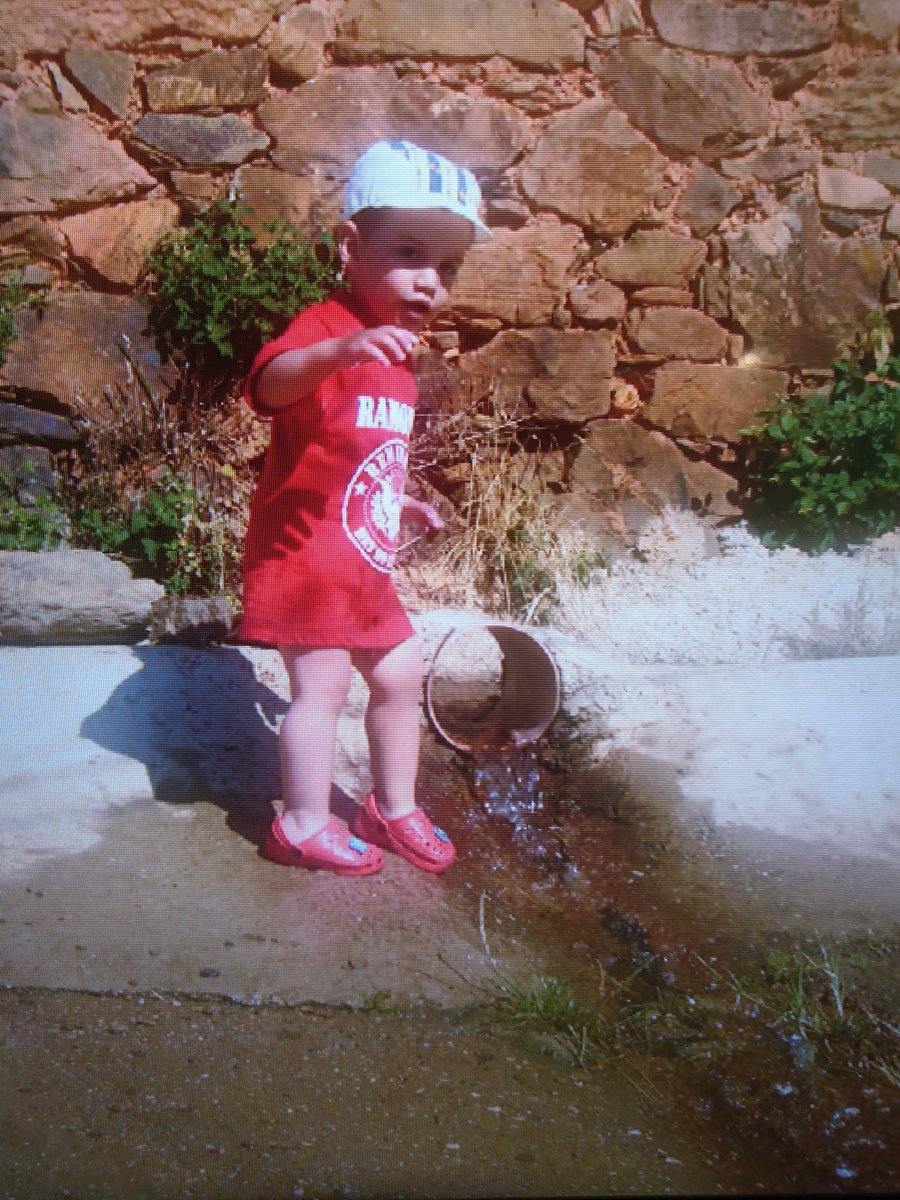 Sr. Bilis tweet media