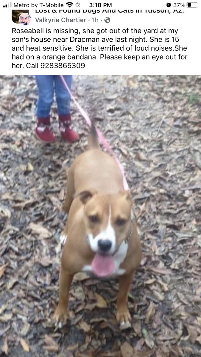 cece2769 tweet media