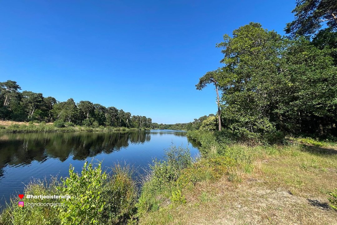 📷 Foto: 𝕀𝕟𝕘𝕣𝕚𝕕 📸
🔎 instagram.com/ingridhondersnl
♥ 𝗭𝗲𝗹𝗳 𝗲𝗲𝗻 𝗺𝗼𝗼𝗶𝗲 𝗳𝗼𝘁𝗼? 𝗚𝗲𝗯𝗿𝘂𝗶𝗸 #hartjeoisterwijk

-
#wandelen #visitnetherlands #noordbrabantdichterbij #nature #visitbrabant #oisterwijk #netherlands #naturephotography #noordbrabant