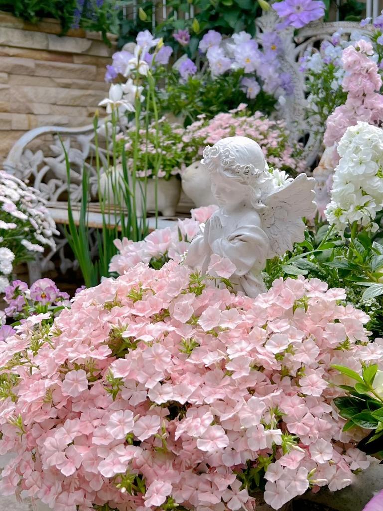 peacozy's tweet image. 