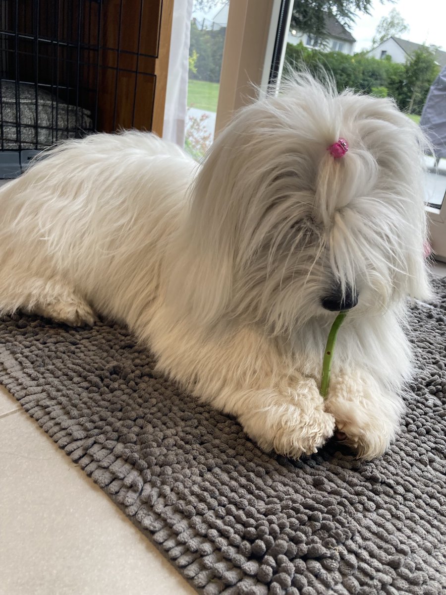 It’s me, Maeve tweet media