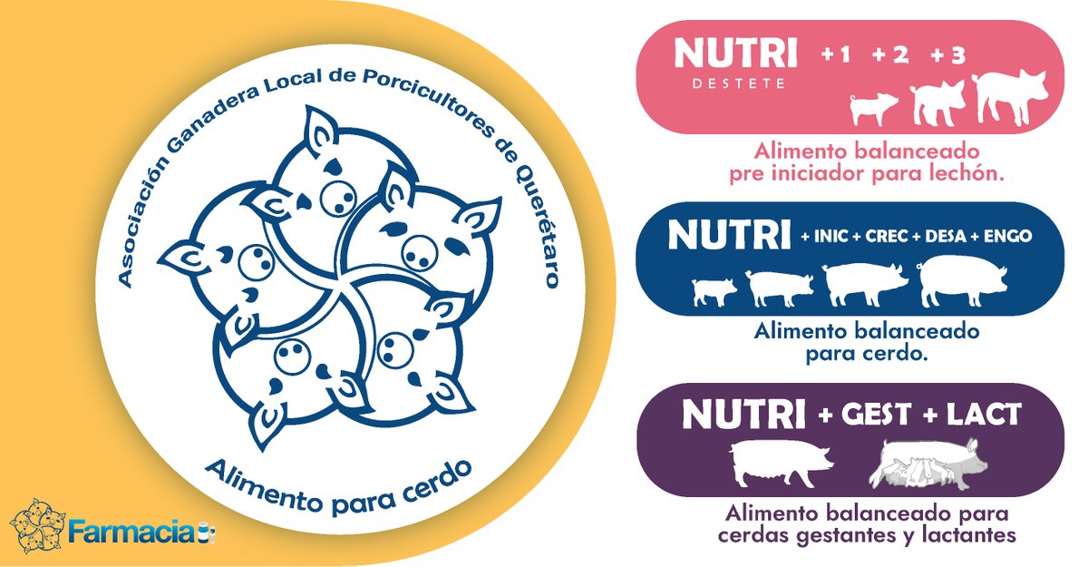 🌽¡Ahora en la AGLPQ la mejor calidad de ALIMENTO PARA CERDO! 🌽

🐖 Para brindar a tus cerdos una nutrición equilibrada en todas las etapas de crecimiento. 🐖

✔️ Ingredientes de primera calidad.
✔️ Fórmula personalizada para cada etapa.
✔️ Resultados comprobados.

 #Querétaro