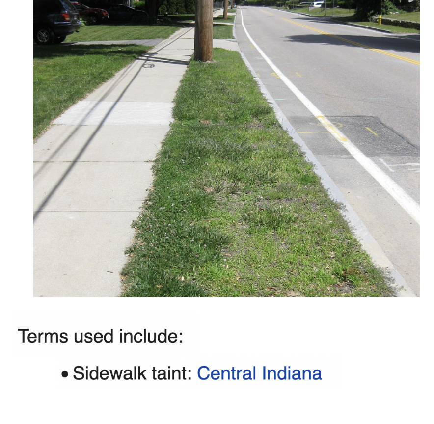 depths of wikipedia! tweet media