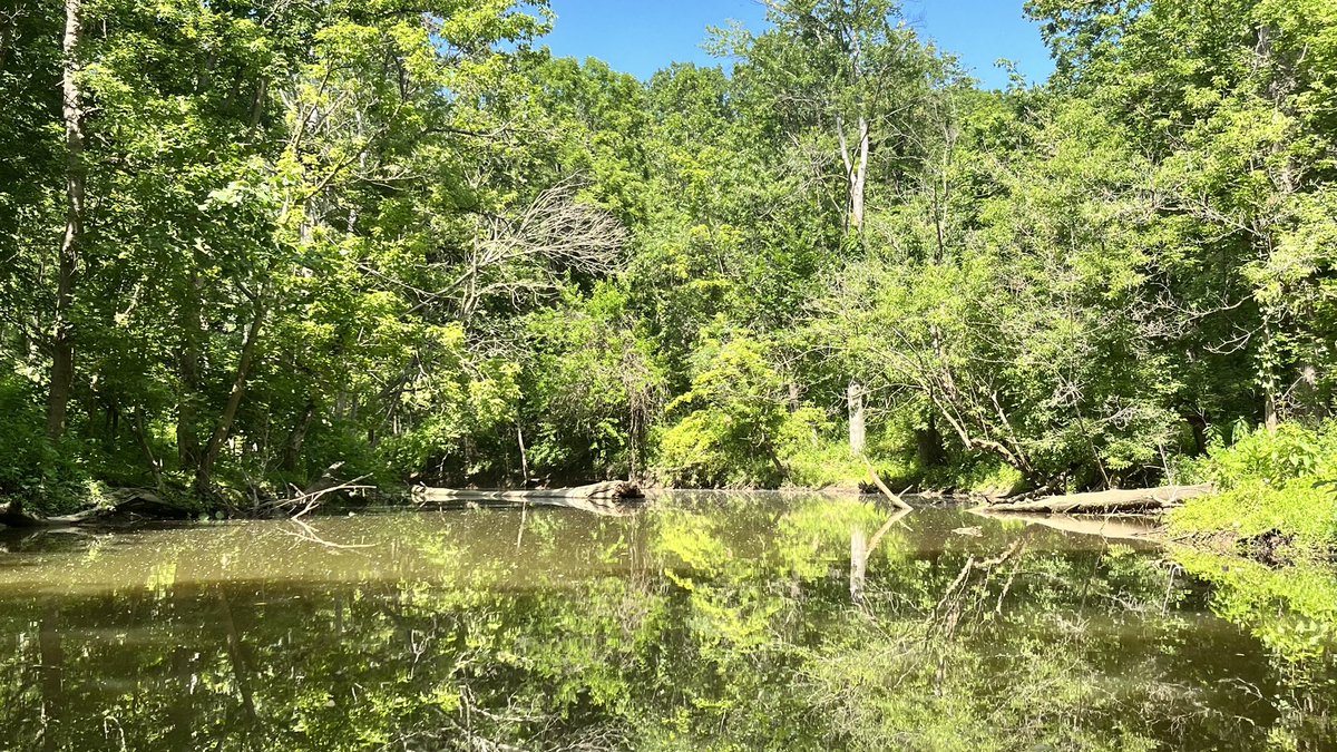 TheSproutExperience tweet media