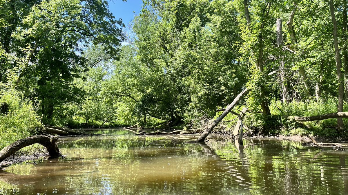 TheSproutExperience tweet media