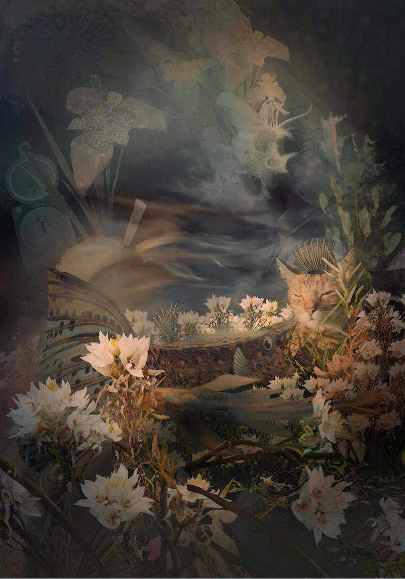 blastriade's tweet photo. 🖼️NFTANDA📷
Sin dudar ni un momento, esta pieza de @kellposky me llena de curiosidad.
De ganas de meterme en la imagen y confirmar que m siento flotar.
Operari_Digital Cat´s Terrarium
#NFTanda3 #collagerules https://t.co/1ObtlsCXzt
