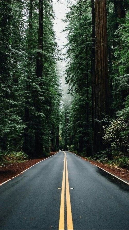 ahmad49283's tweet photo. @AlbwWdhy الغلا.. مشتاق ليك https://t.co/6pyNDre8IU