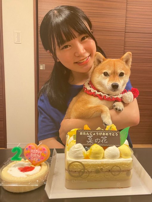 石上ひなののTwitter画像41