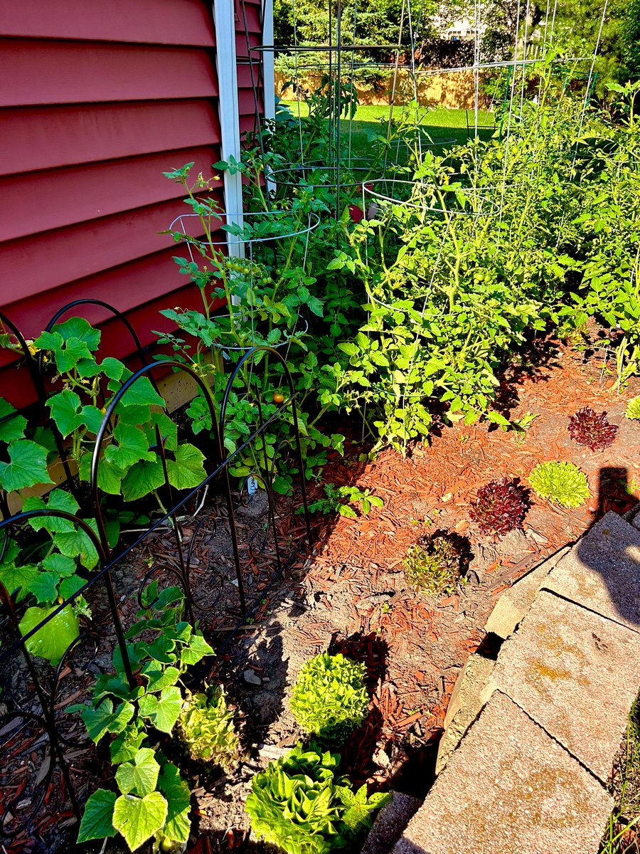 Gina Schuyler tweet media