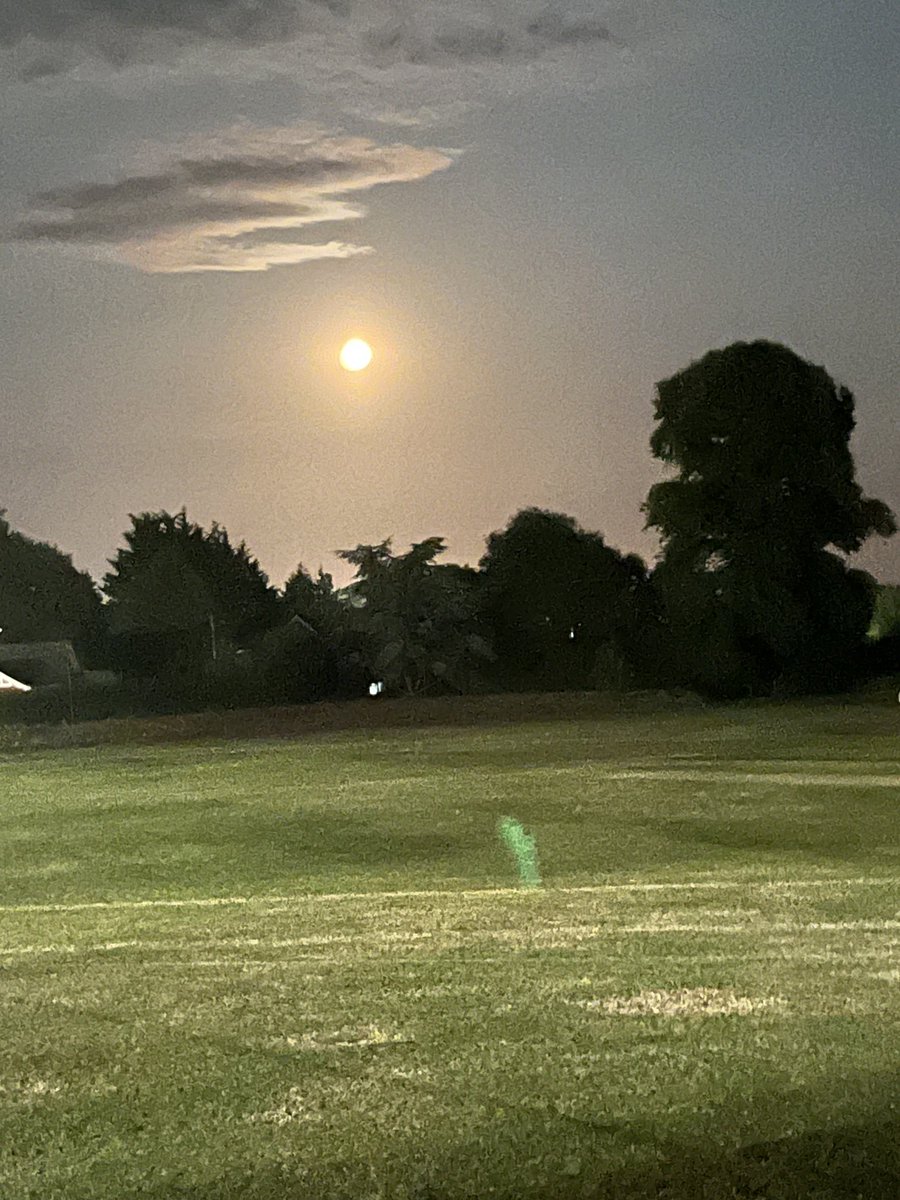 Louise Simpson tweet media