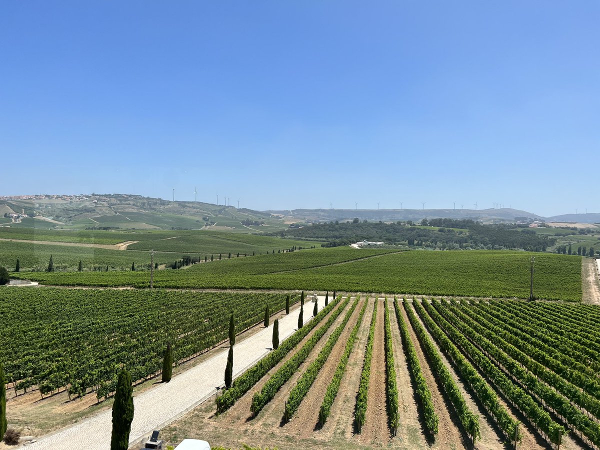 José Fernando Simão tweet media