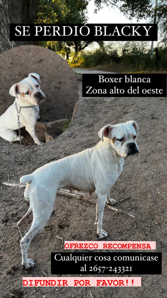 por favor, ayúdenme a encontrarla 🙏🏻🙏🏻