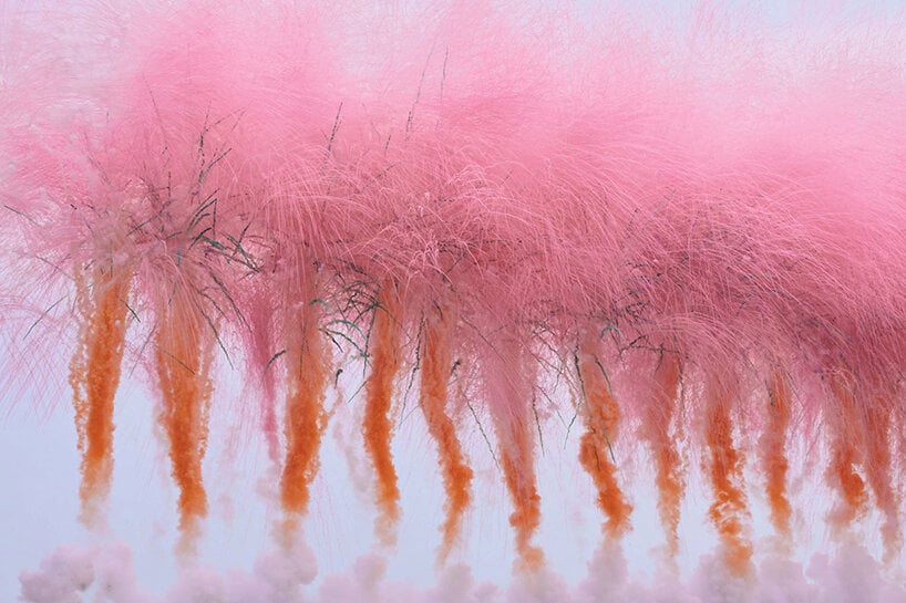 designboom's tweet photo. cai guo-qiang &amp; saint laurent ignite japan's first daytime fireworks, casting bold hues in the sky https://t.co/xutR8NpoSc https://t.co/C3MTmtyjyU