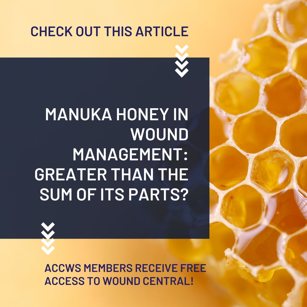 accws's tweet photo. Member perk! Members receive free access to Wound Central!  While much of the early research was into generic honeys, one particular source, Manuka, appears especially effective, and as such this has been the focus of recent studies.

Learn More Here: 

https://t.co/3t3B9V3djs https://t.co/XY7eHKHVYa