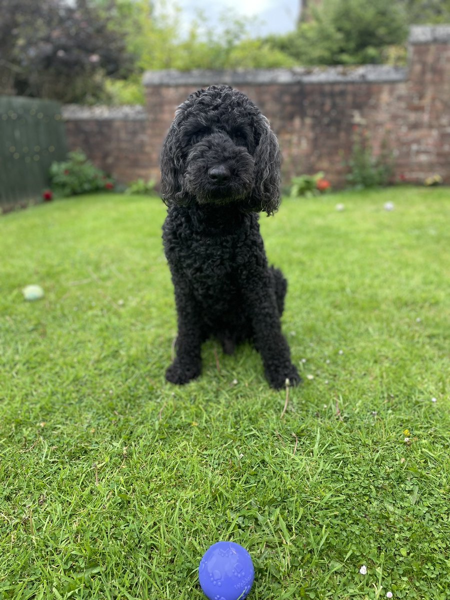 Andy McCluskey tweet media