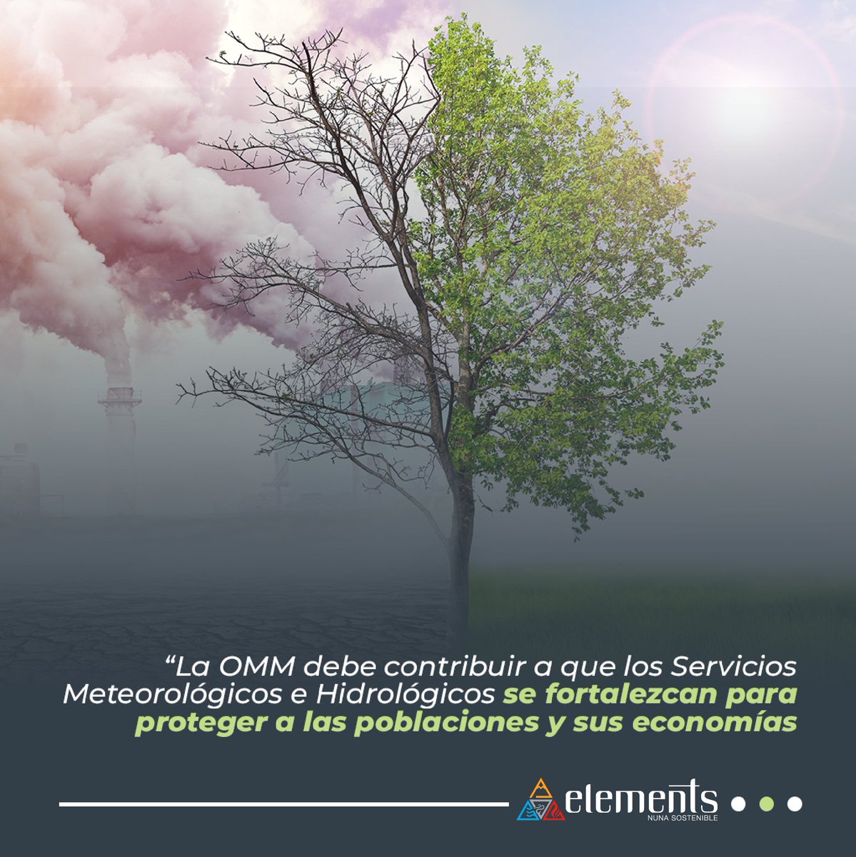 revistaelements's tweet photo. Hoy en la #FraseDeLaSemana, te presentamos las declaraciones de Celeste Saulo, primera mujer elegida como Secretaria General de la Organización Meteorológica Mundial (OMM), sobre sus primeras acciones a ejecutar frente al organismo.
#ambiente #revistaelements #mundo https://t.co/zHfo7EQWFL