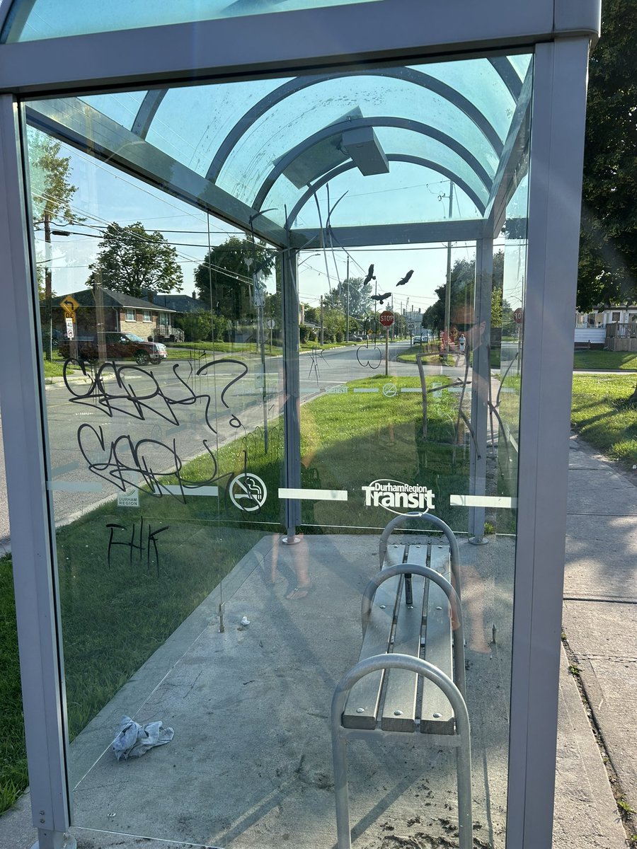 MusicMan798's tweet photo. @Durham_Transit  There is graffiti all over the bus shelter at Malaga WB @ Oxford https://t.co/RQgkZn6HwU
