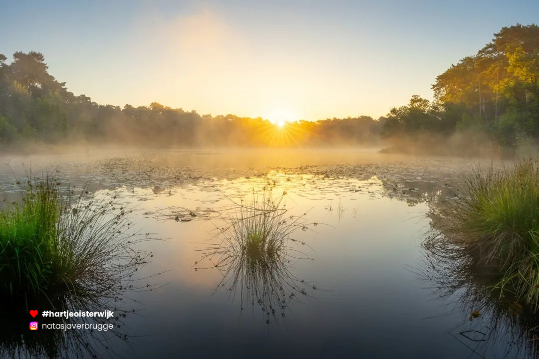 📷 Foto: Natasja Jacobs-Verbrugge
🔎 instagram.com/natasjaverbrug…
♥ 𝗭𝗲𝗹𝗳 𝗲𝗲𝗻 𝗺𝗼𝗼𝗶𝗲 𝗳𝗼𝘁𝗼? 𝗚𝗲𝗯𝗿𝘂𝗶𝗸 #hartjeoisterwijk

-
#naturephotography #visitnetherlands #oisterwijksebossenenvennen #noordbrabantdichterbij #netherlands #visitbrabant #oisterwijk #nature
