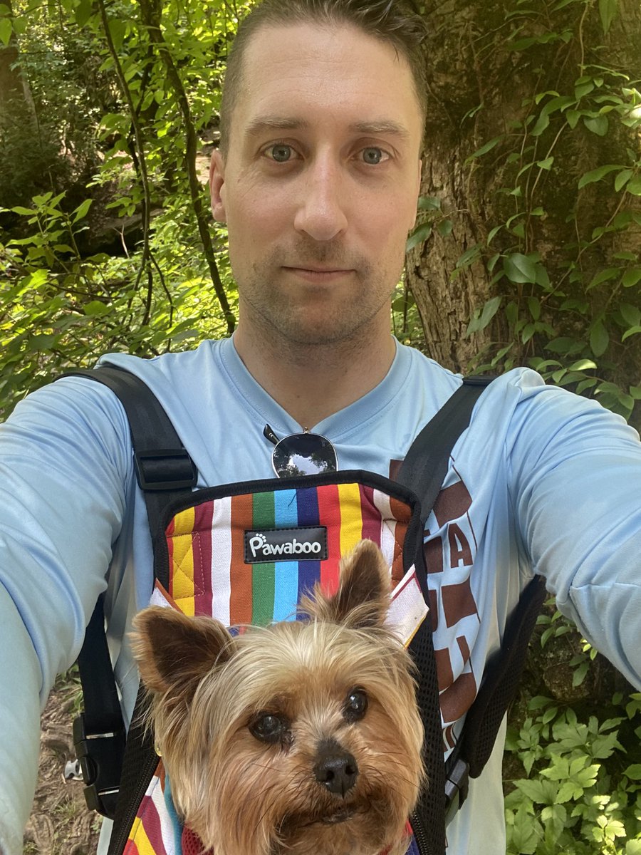 GuloThoughts's tweet photo. Took a geriatric dog birdwatching today, hbu https://t.co/94dRGlpcfB