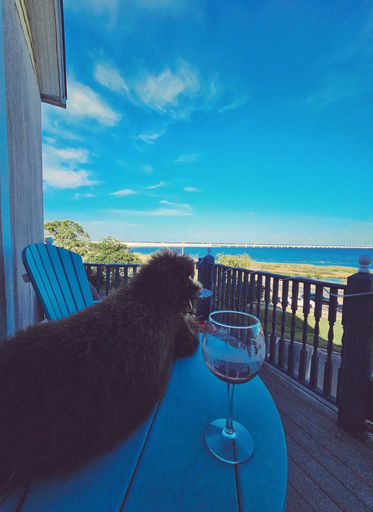 Jeremy Diamond tweet media