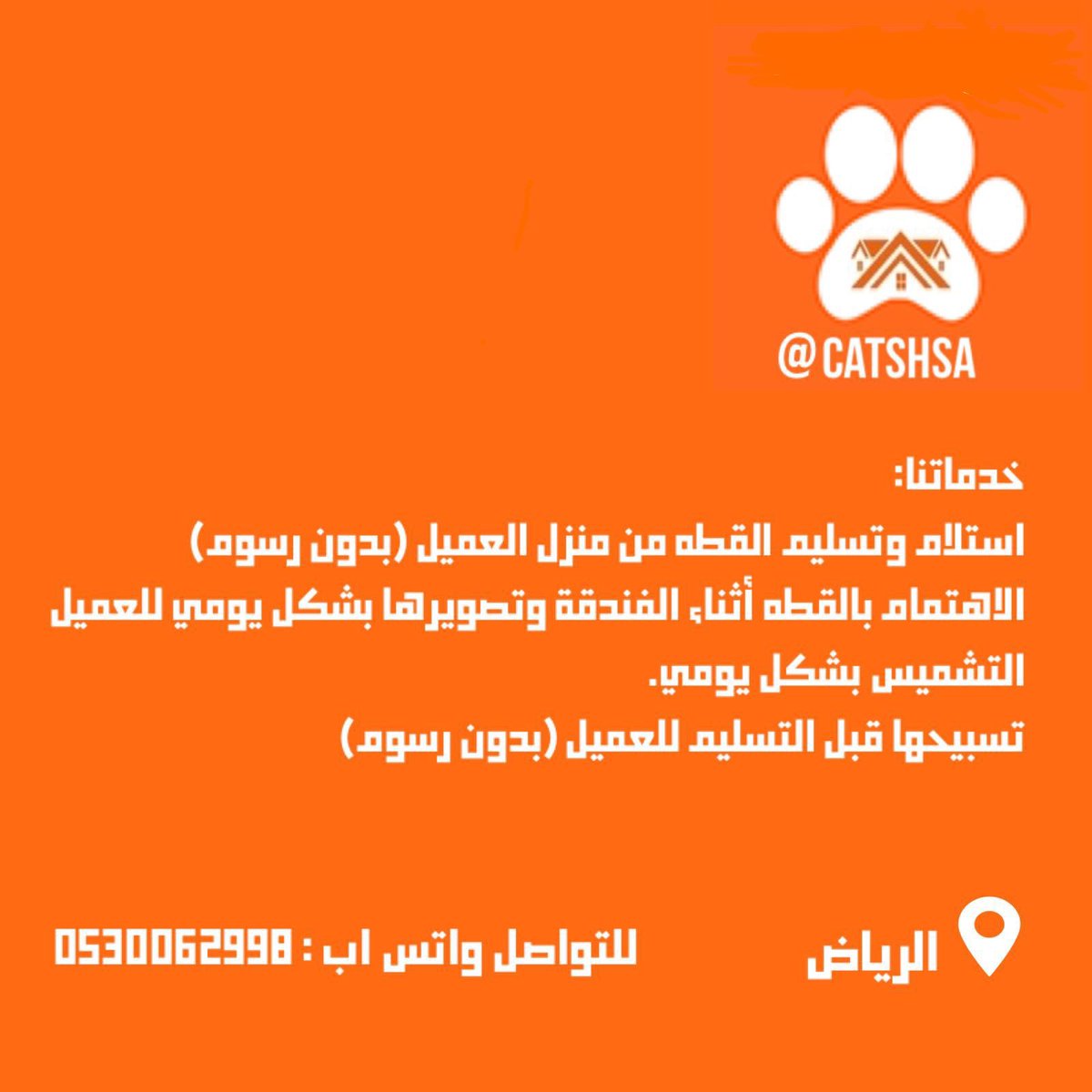 فندقة قطط الرياض tweet media